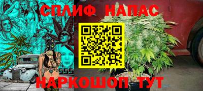 МДПВ Белореченск
